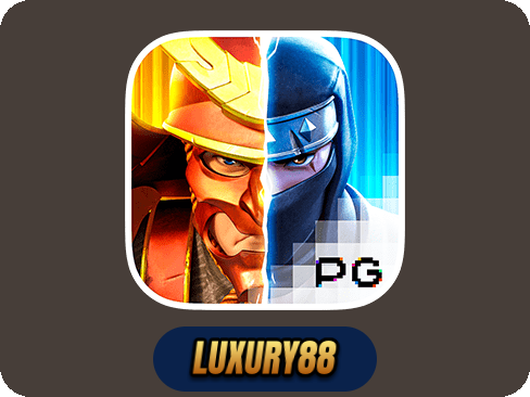 Ninja vs Samurai